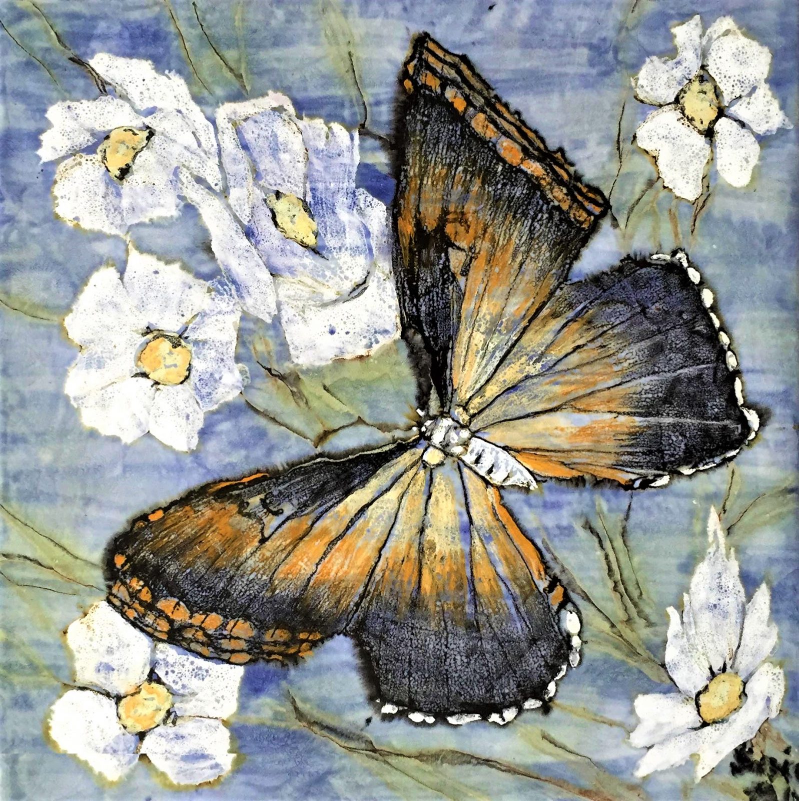 2010 - Morpho hecuba- 20x20 cm