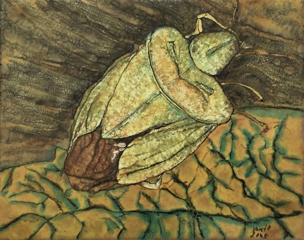 2005 - La cimice - 25x20 cm