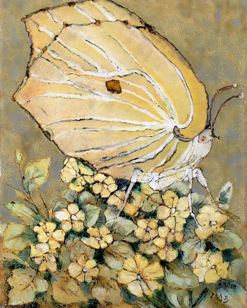 2005 - Lycaena sui fiori - 25x20 cm