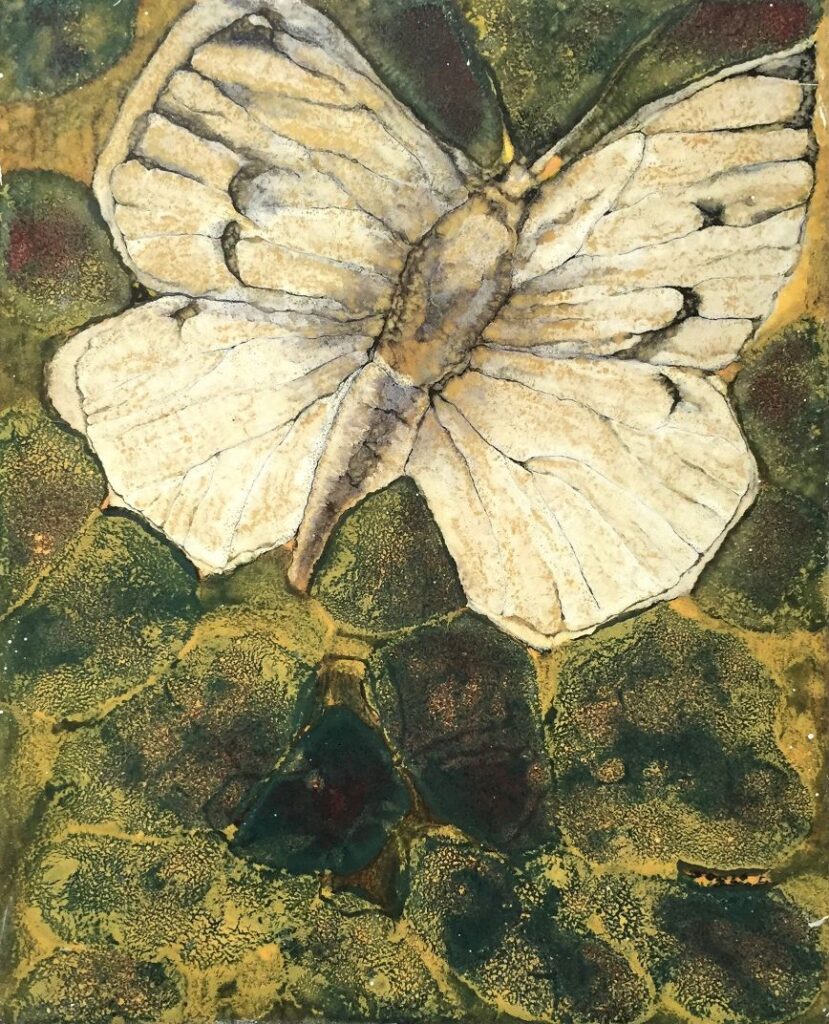 2005 - Parnassius mnemosyne - 25x20 cm