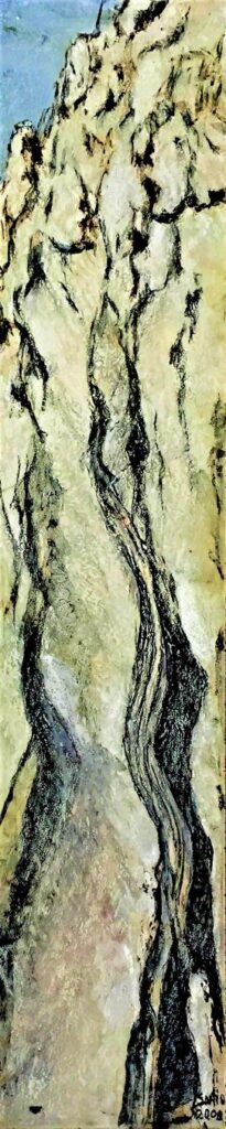 2008 - Dolomite - 12x62 cm