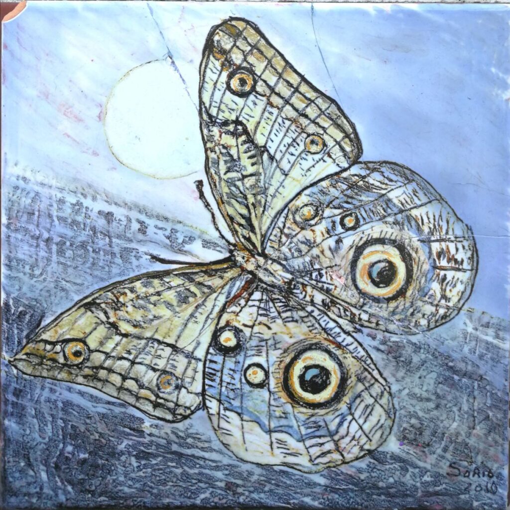 2010 - Saturnia della luna - 20x20 cm