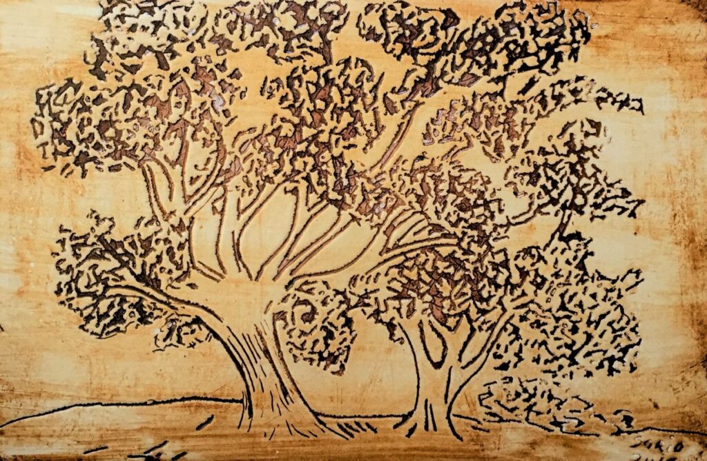 2012 - Alberi a Crosara - Piastra incisa, 30x20 cm